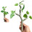 Fishtank Artificial Plant Landscape Fish Tanks Decorations-3 1