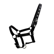 Adjustable Horse Halter with PP Webbing Ergonomic-XS