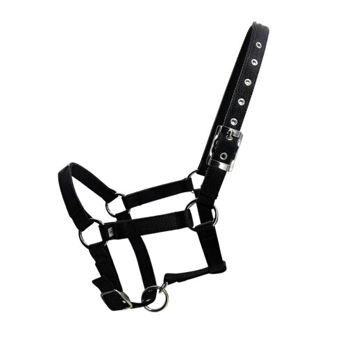 Adjustable Horse Halter with PP Webbing Ergonomic-XS