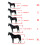 Adjustable Horse Halter with PP Webbing Ergonomic-XS 4