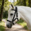 Adjustable Horse Halter with PP Webbing Ergonomic-XS 7