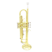 Bb Trumpet for Students and Professionals Brass B Flat Instrument with Mouthpiece and Case