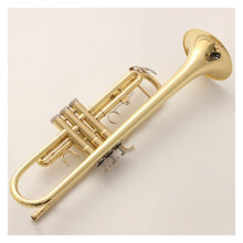 Bb Trumpet for Students Gold Lacquer Brass Instrument with Case Mouthpiece Warm Tone