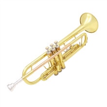 Bb Trumpet Gold Finish Brass Instrument for Beginners with Mouthpiece Case and Accessories