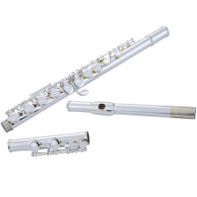 Silver Plated Beginner Flute with Split E Key, 16 Closed Holes, Smooth Key Action for Students