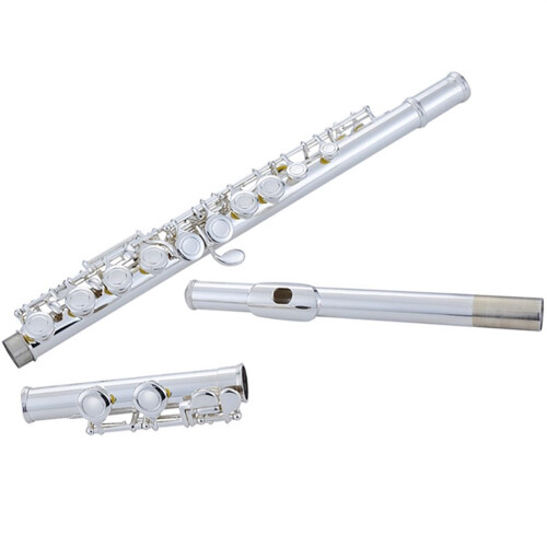 Silver Plated Beginner Flute with Split E Key, 16 Closed Holes, Smooth Key Action for Students