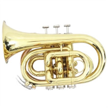 Gold Lacquered Pocket Trumpet Mini, Compact Travel Practice Instrument for Beginners