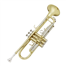 Beginner Bb Trumpet for Practice and Performance, Durable Brass Build with Gold Silver Finish