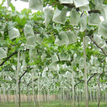 Planta de Jardim Fruta Proteger com CordãO Rede Bolsa de Malha Contra Inseto PáSsaro Cobertura de Planta