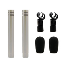 1 Par C02 Pennformad Kondensormikrofon Stötsäker Klämma Mikrofon Piano Mic Pen Typ Instrument Mikrofon A