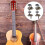 32 Pcs 4 String Ukulele Tuning Pegs Set, Durable Metal Heads with Secure Ferrule Fit 4