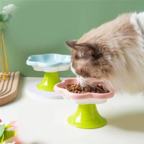 Ceramic Raised Cat Bowl with Flower Design, Elevated Food/Water Dish, 1