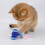 Rechargeable Cat Toys Automatic Obstacle Avoidance Interactive Toys for Cat Intelligent Design Cat Accessories 6
