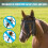 Delicate Woven Fly Protector For Horses Designed With Trims And 7
