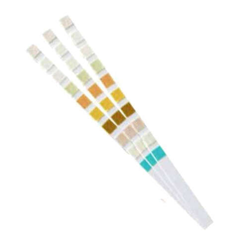 600 Strips Urine Test Strip 10 Parameters 2