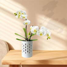 Macetas para Orquídeas con Agujeros, Maceta de Cerámica de 4 Pulgadas para Trasplantar Orquídeas y Otras Flores