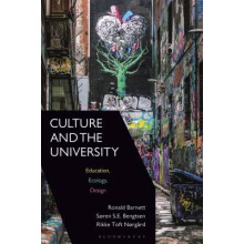 Culture and the University
