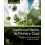 Medicinal Herbs in Primary Care 1