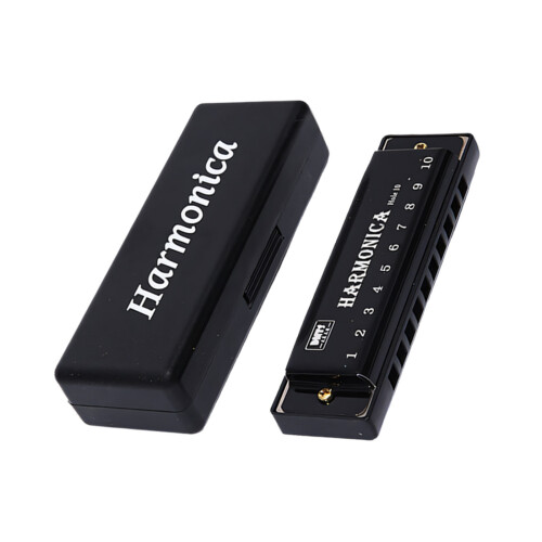 Harmonica diatonique pratique à 10 trous avec plaques de-Noir