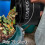 Kitchen Compost Bin for Kitchen Countertop, 1Gallon Compost Bucket for Kitchen with Lid, Home  Black 3