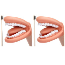 2 Stuks Mondpop met Tong, Tanden, Mond, Handpop, Tandheelkundig Mondmodel met Tandenborstel voor Jongen, Meisje, Educatief Hulpmiddel