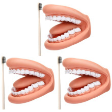 3Pcs Mouth Puppet with Tongue Teeth Mouth Hand Puppet Dental Mouth Model with Toothbrush for Boy Girl Educational Tool