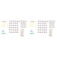60Pcs Car Ceiling Cloth Fixing Screw Car Roof Fixed Buckle Snap Rivets Retainer Automotive Headliner Repair Button Gray
