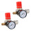 2X 1/4 Inch Pressure Reducer, EU Standard Pressure Regulator 1