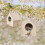 Nesting Box for Tits, Nesting Box Kit Robin, Bird House,  for Hanging, Nesting Boxes for Birds Bird House 4