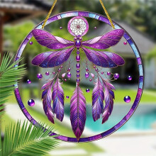Dragonflys Dreamcatchers Pendant Round Color Pendant Acrylic Pendant with Rope