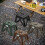 Tabouret pliable en plastique avec poignée (1 pièce) 1