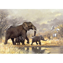Diamond Painting Kits,Elephant Family Jungle Crane Animals Full Drill DIY Diamond Art Stitch Paint By Numbers