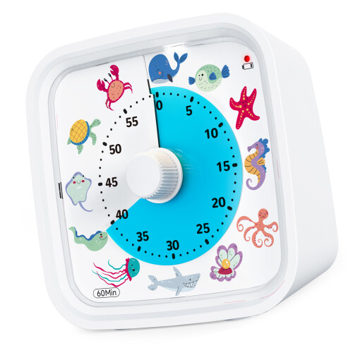 Multifunctional Childrens Learning Timers With 3 Sound-White