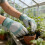 Reinforced Work Gloves With Padding And Sun-royal blue 3