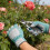 Reinforced Work Gloves With Padding And Sun-royal blue 6