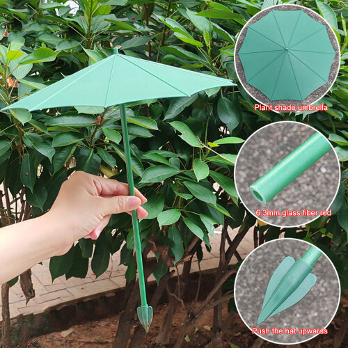 Protecteurs de pare-soleil colorés pour petits pots de-Rose 2