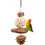 Fruit Shape Bird Chewing String with Natural Grass Ball-L 5