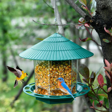 Squirrel Proof Hanging Bird Feeder for Outside, 360 View for Wild Birds, Green