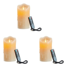 3X LED-Kaarsen, Flikkerende Vlamloze Kaarsen, Oplaadbare Kaars, Kaarsen van Echte Was met Afstandsbediening, 15 cm