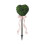 Stylish Plastic Ornamental Cypress Tree Stake For Both-83 1