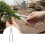 Precision Pruning Tools with Stainless Steel Shears, Ergonomic Grip, RustResistant Bonsai Trimming Set 4