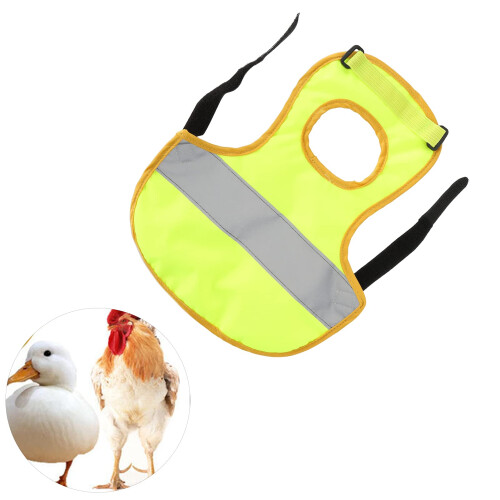 Chicken Saddle Hen Apron Green Adjustable Poultry Protector with Feather Protection and Durable Stitching 1