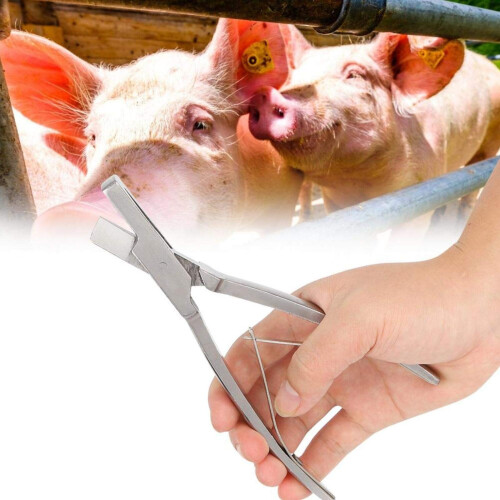 V Shape Pig Ear Tag Pliers with Precise Alignment, Compact Livestock Tagging Tool for Farm Use 1