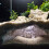 Garnelenzuchthöhle, Versteck, mythische-Weiß M 3