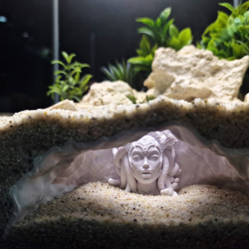 Garnelenzuchthöhle, Versteck, mythische-Weiß M 2