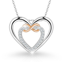 (Color separation) Classic Elegant Women's New S925 Sterling Silver Two-Tone Heart Choker, Minimalist Elegant Necklace