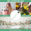 150-Pack Blomvattenrör, 4 Tum/10 cm Plastblommrör med Gummilock för Blomma 6