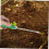 Weed Puller Tool with Ergonomic Grip Design, Efficient Dandelion Removal for Garden and Lawn 3