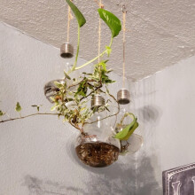 Hanging Light Bulb Plant Pot with Strings Rope Planter Terrarium for Home Garden Balcony,Miniature Garden 3Pcs