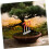 Bonsai Branch Bender and Pruning Tool 2 in 1 Ergonomic Grip for Precise Tree Shaping 4